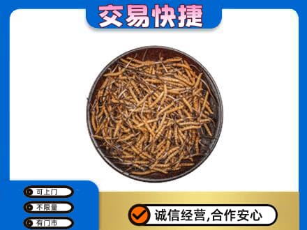 南昌青山湖区回收散虫草